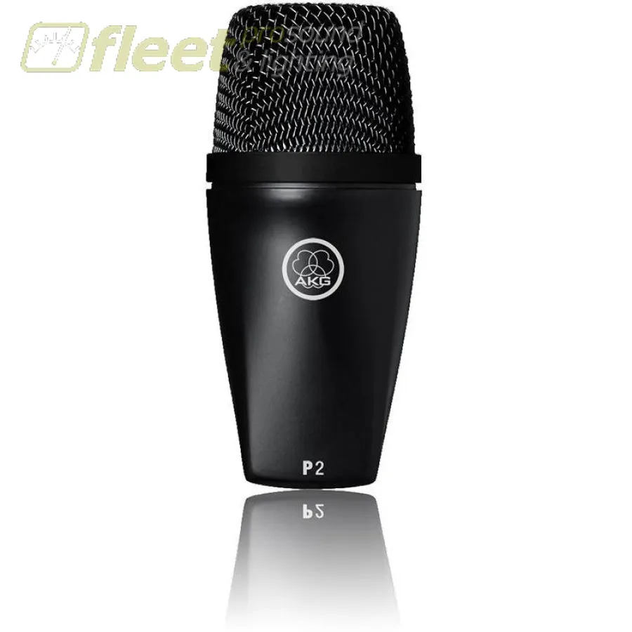 AKG P2 Instrument Microphone