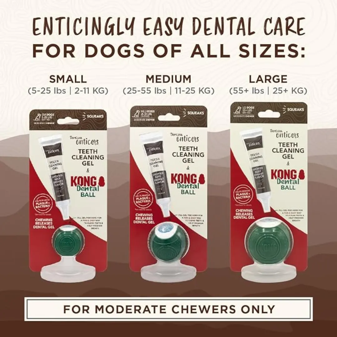 Beef Enticers and Kong Dental Ball Kit