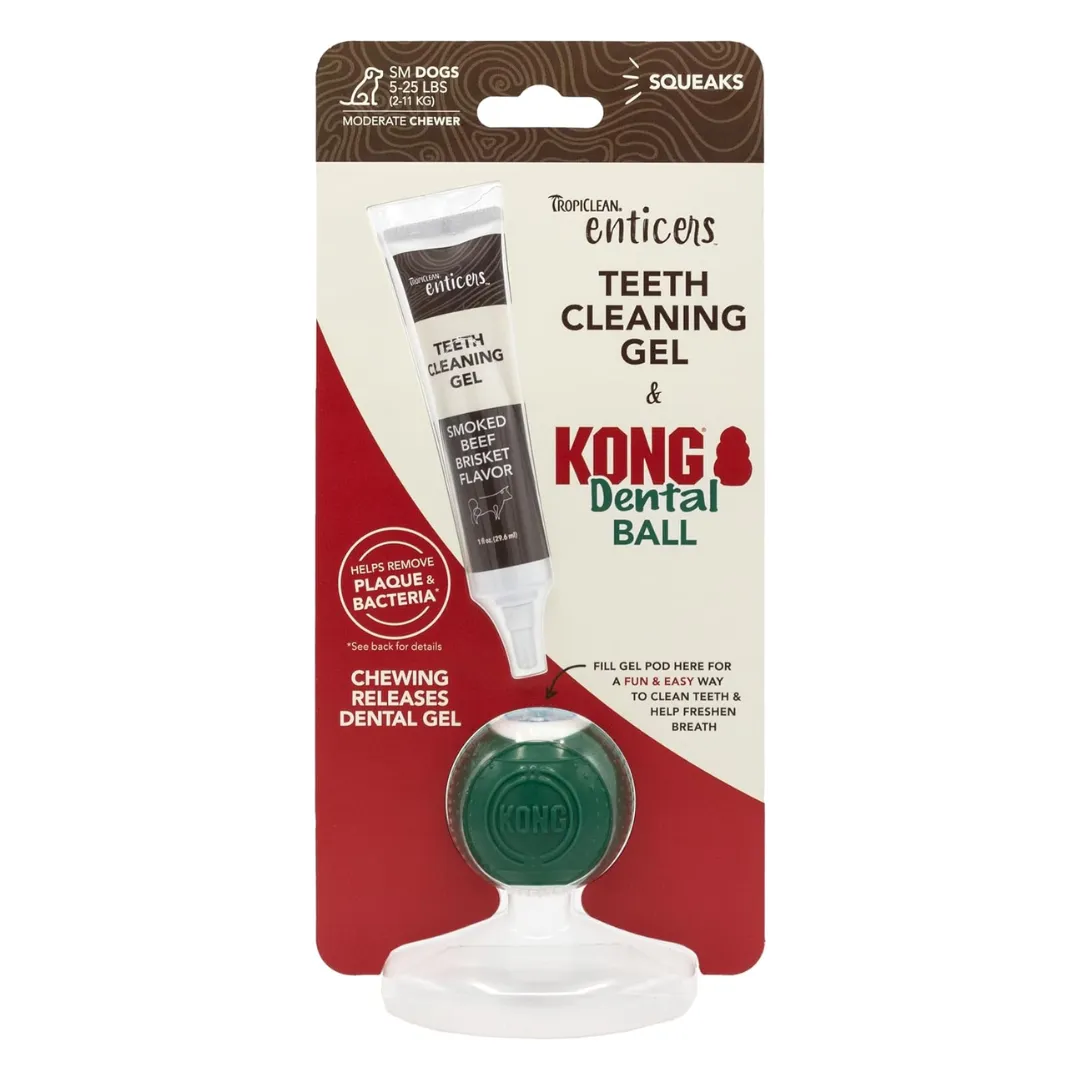 Beef Enticers and Kong Dental Ball Kit