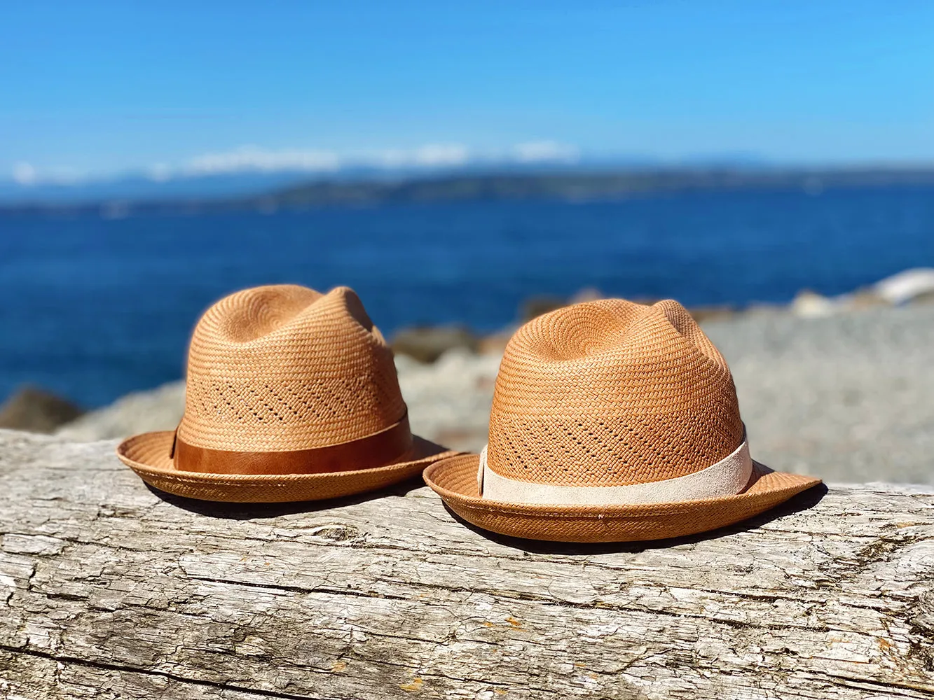 Fedora Waikiki