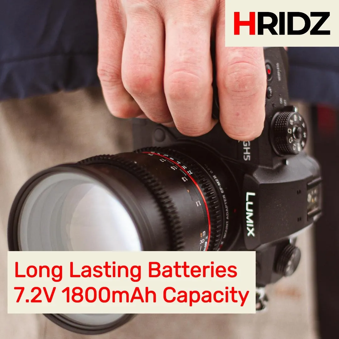 Hridz BLF19 Battery for Panasonic DMW-BLF19 G9 GH5s GH5 GH4 GH3