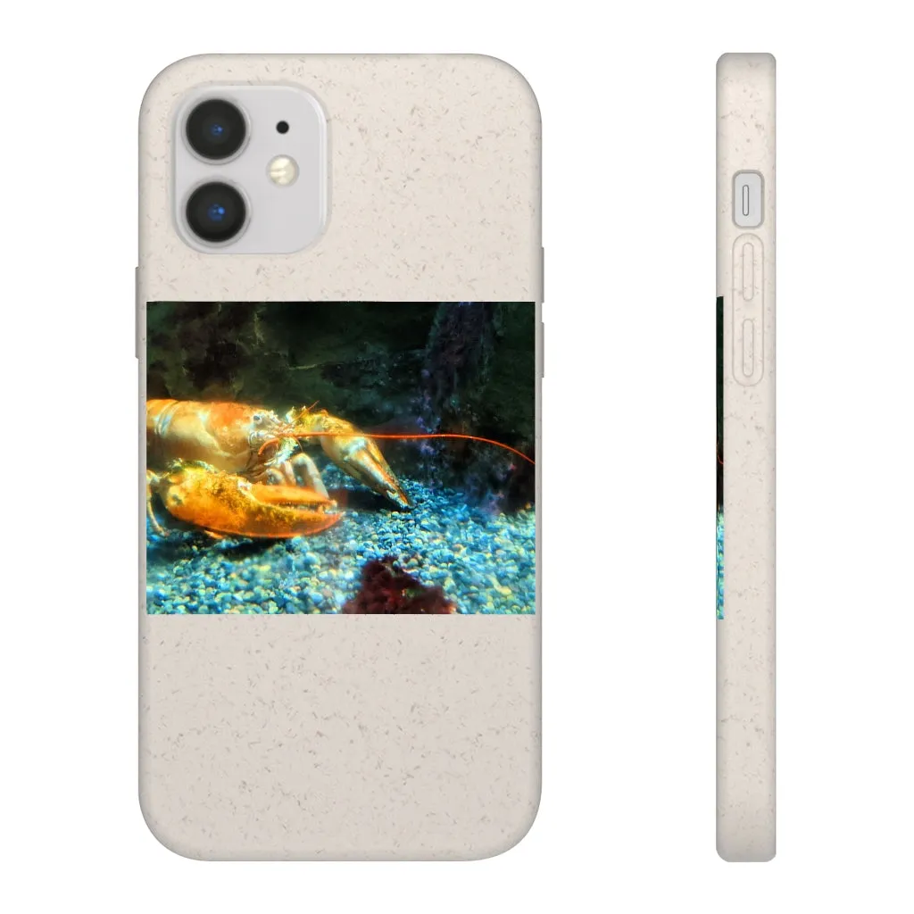 Lobster Biodegradable Case