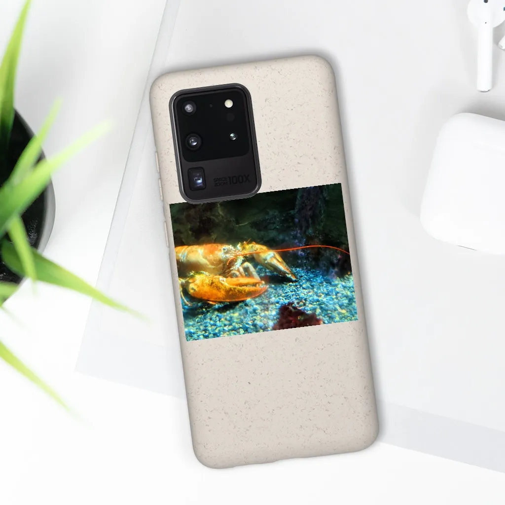 Lobster Biodegradable Case