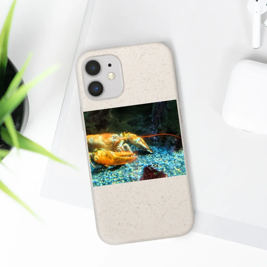 Lobster Biodegradable Case