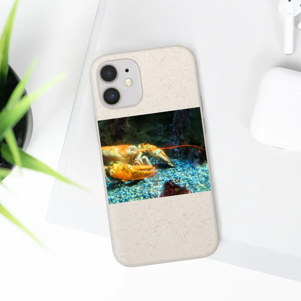 Lobster Biodegradable Case