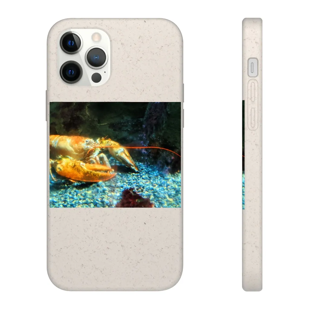 Lobster Biodegradable Case