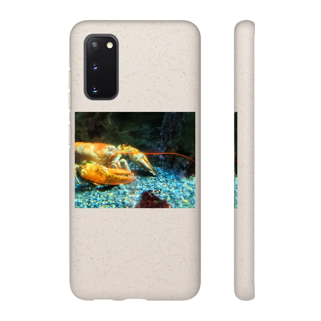 Lobster Biodegradable Case