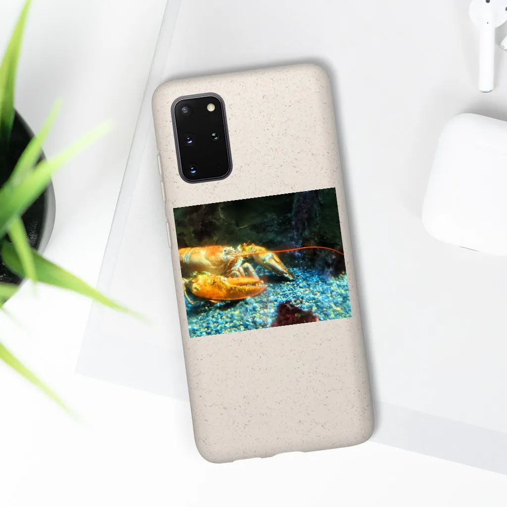 Lobster Biodegradable Case