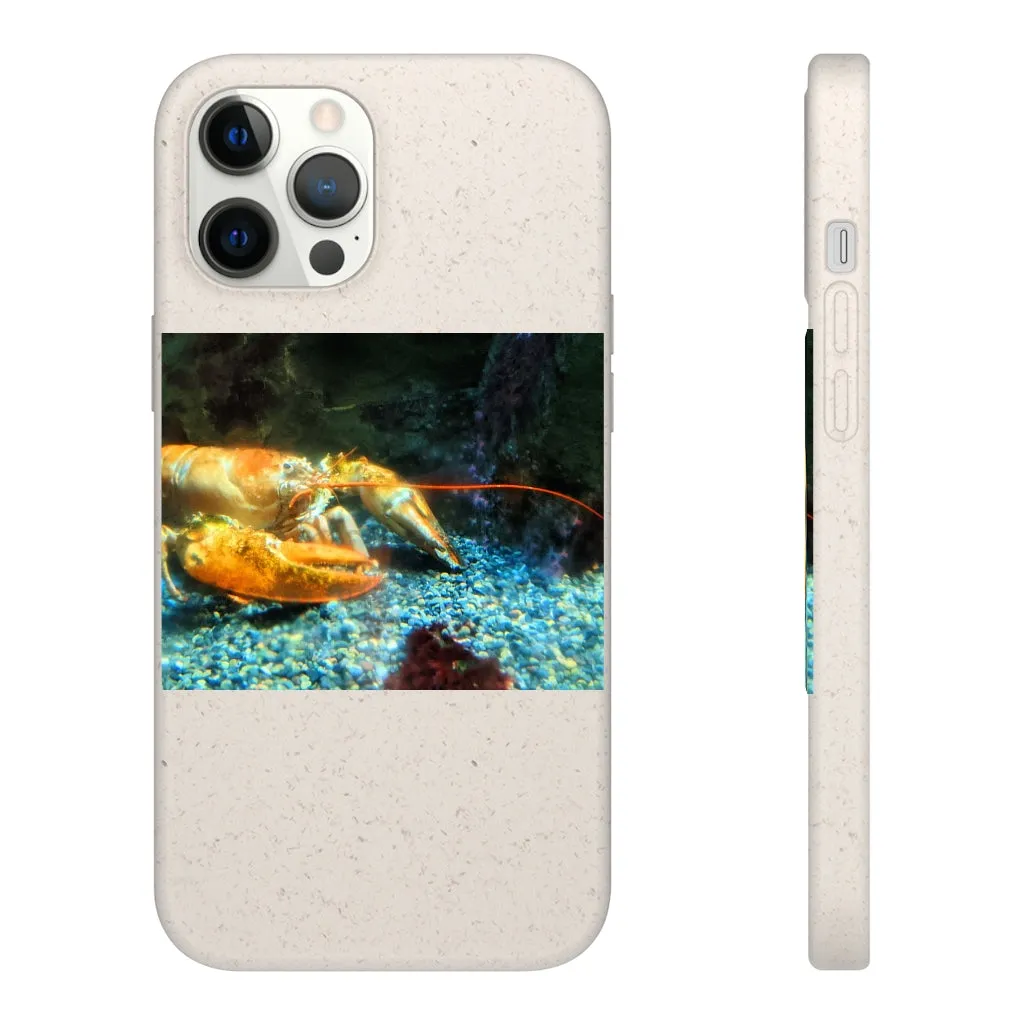 Lobster Biodegradable Case