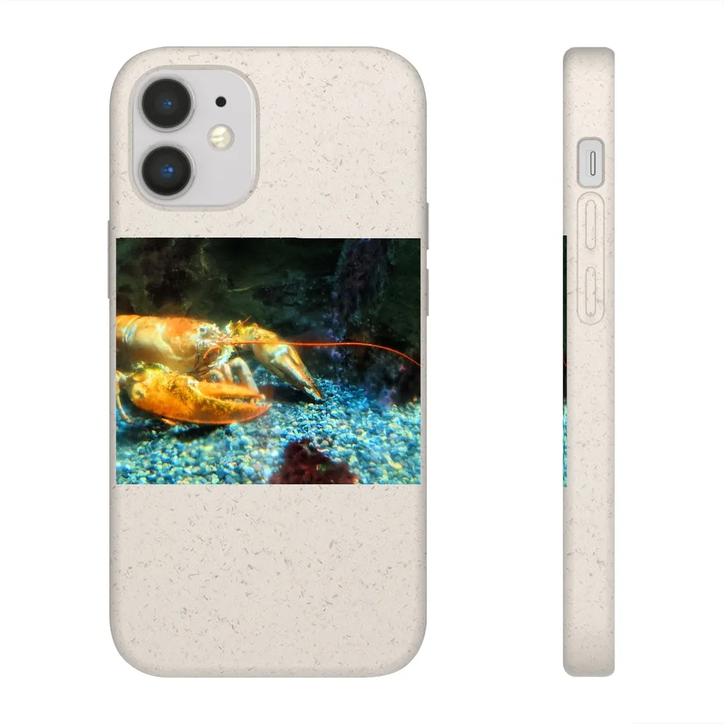 Lobster Biodegradable Case