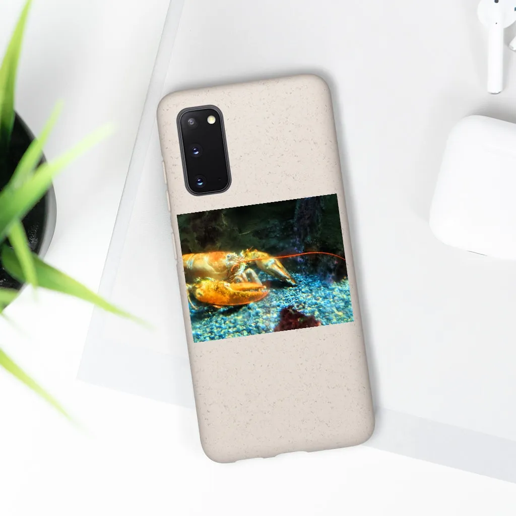 Lobster Biodegradable Case