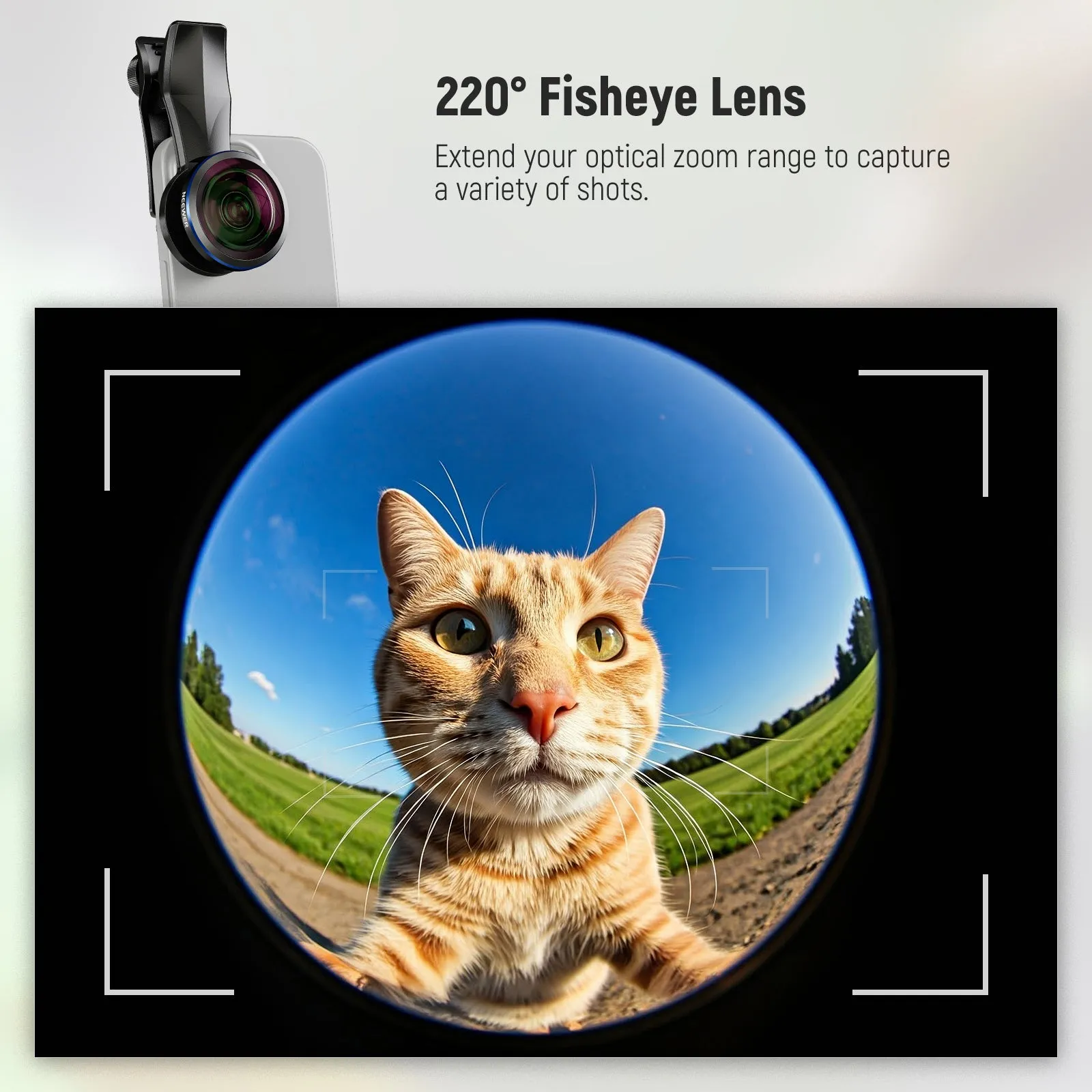 NEEWER LS-29 PRO 8mm Fisheye Lens with 17mm Thread Phone Lens Clip