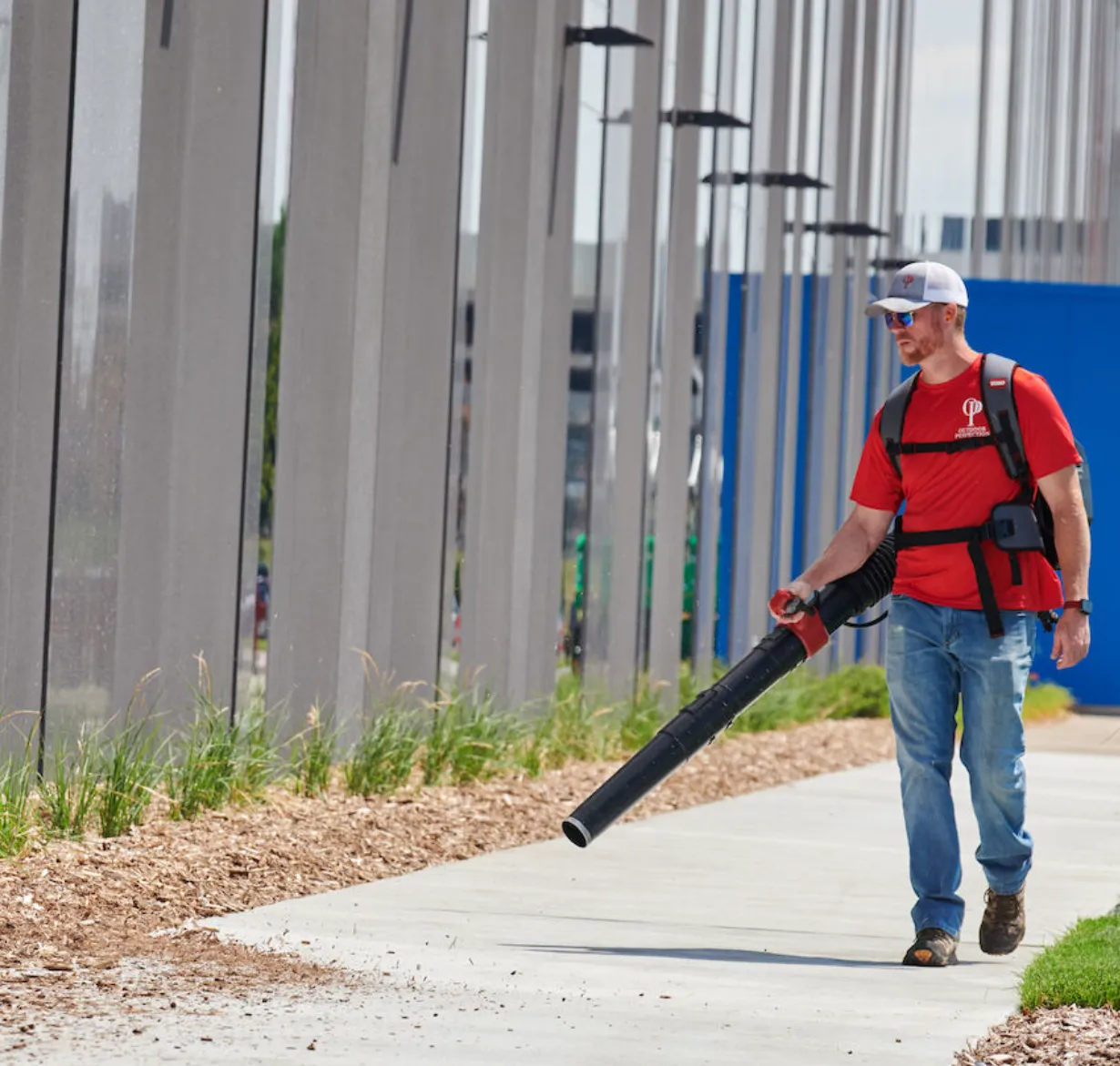 TORO 60V Revolution Electric Battery Backpack Leaf Blower